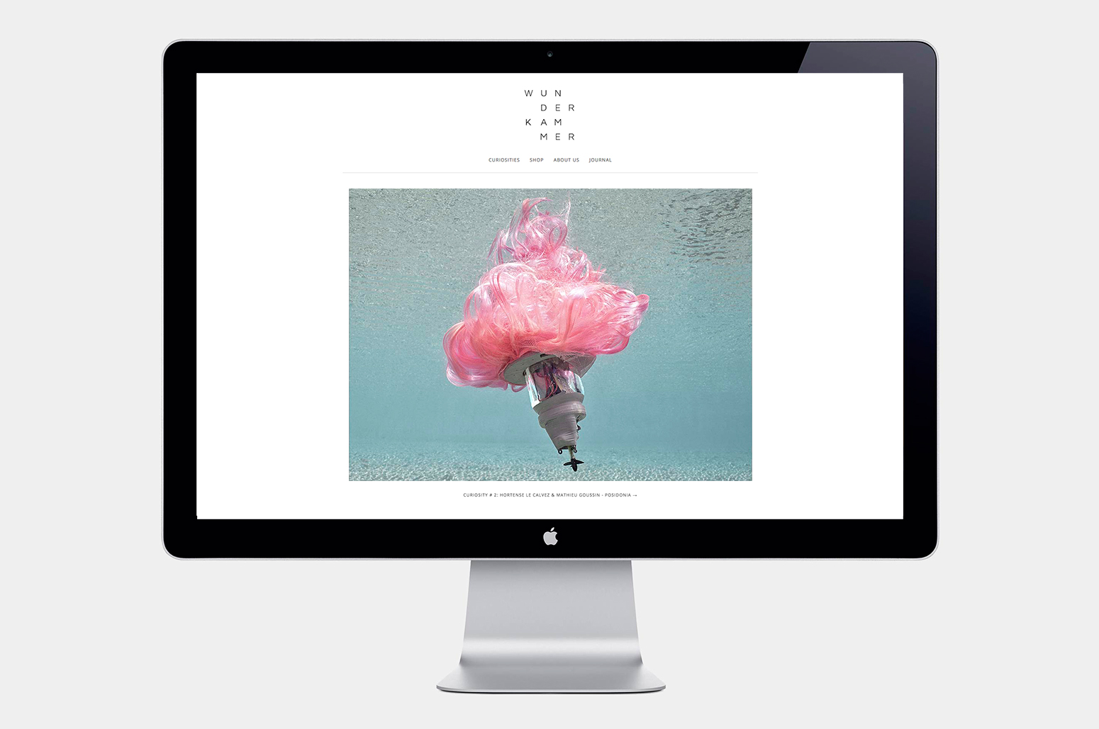 Studio P+P, Wunderkammer