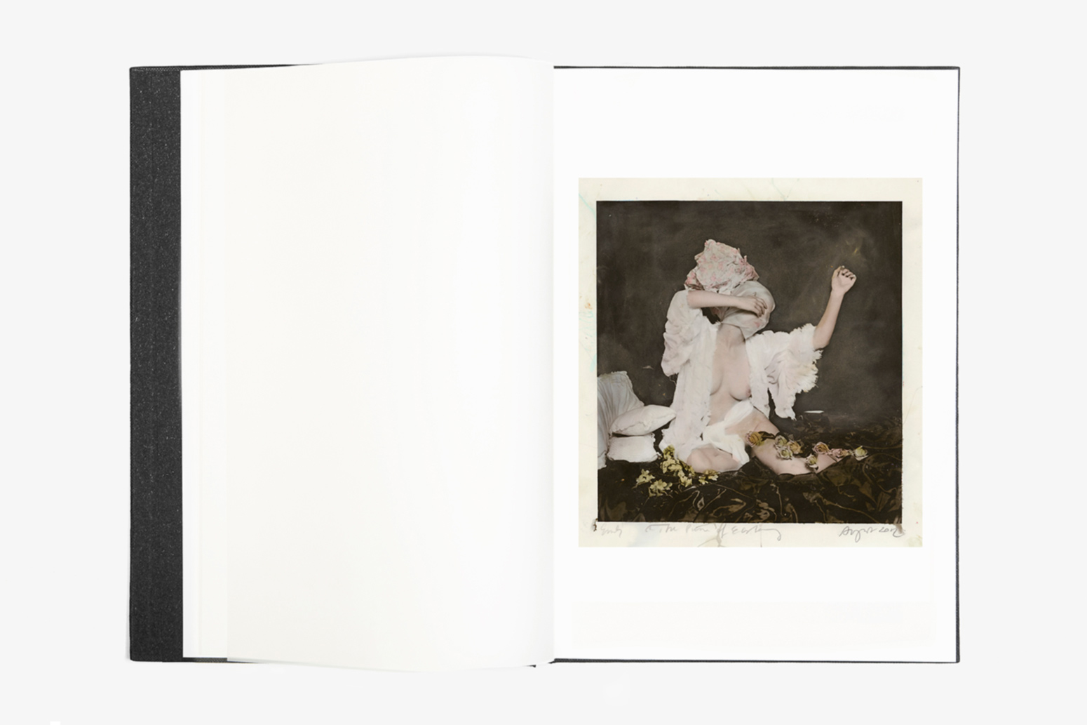 Limbo Book, Studio-P+P
