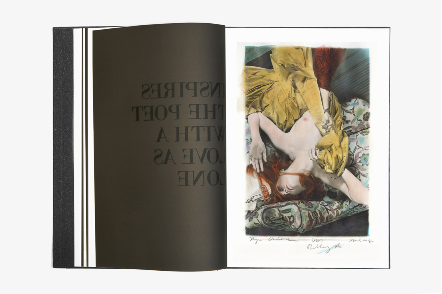 Limbo Book, Studio-P+P